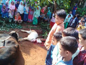 14257622_1112117788868143_3320137776303326958_o