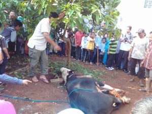 14361409_1112117608868161_4654189486043249674_o